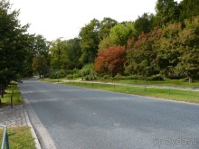 По Садам и Замкам большой компанией