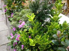 По Садам и Замкам большой компанией