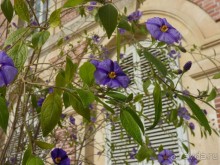 По Садам и Замкам большой компанией