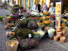 По Садам и Замкам большой компанией