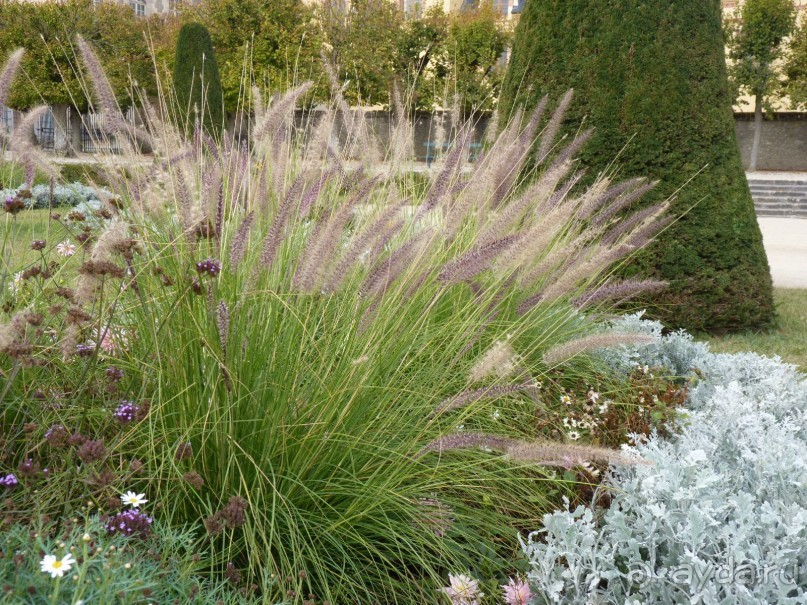 По Садам и Замкам большой компанией