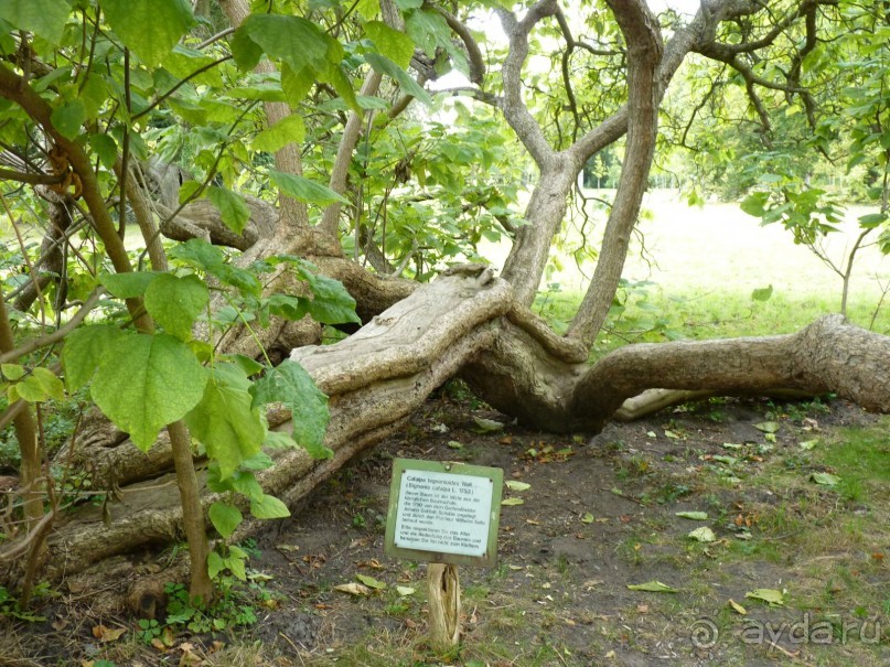 По Садам и Замкам большой компанией