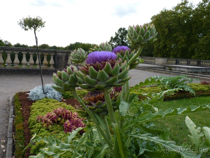 По Садам и Замкам большой компанией