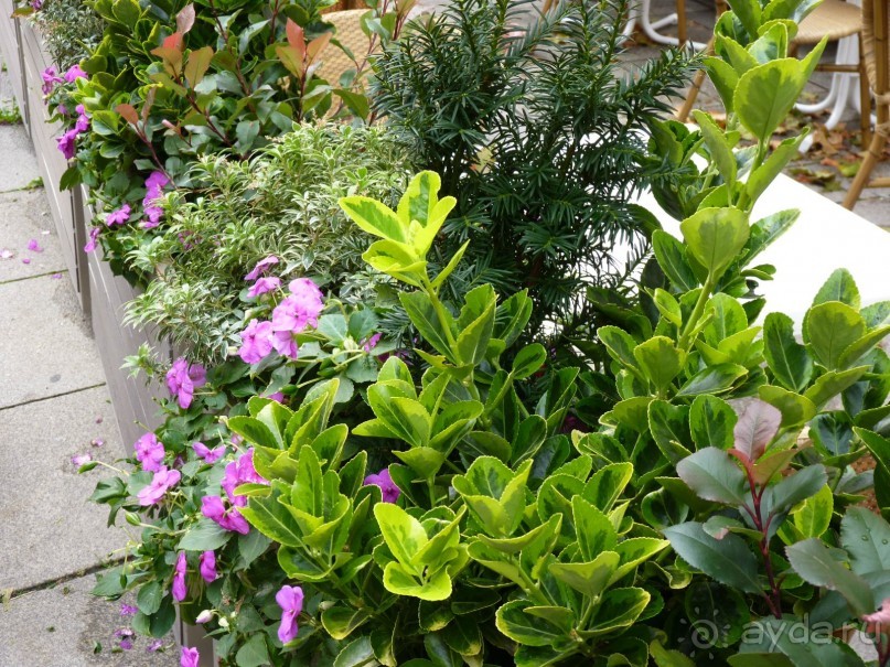 По Садам и Замкам большой компанией