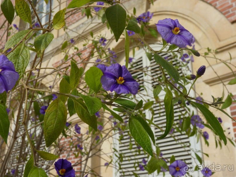 По Садам и Замкам большой компанией