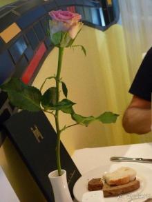 Очаровательное времяпрепровождение. Отель на любой сезон. Rogner Bad Blumau. 