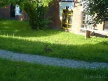 Очаровательное времяпрепровождение. Отель на любой сезон. Rogner Bad Blumau. 