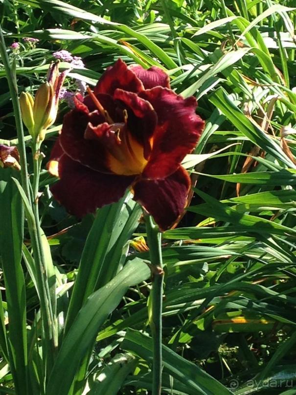 Еще одно путешествие........ Часть 7