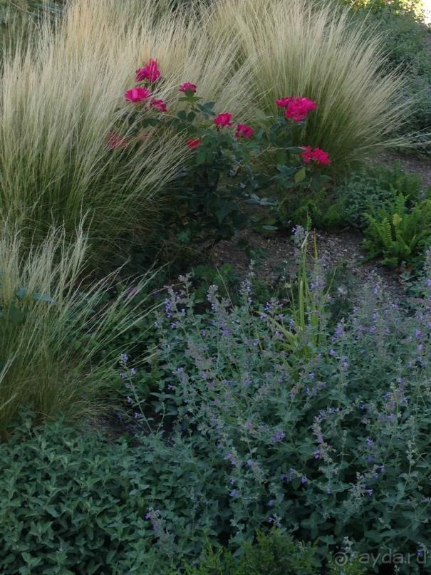 Еще одно путешествие........ Часть 7