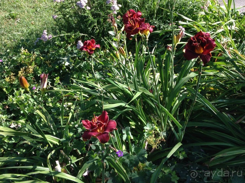 Еще одно путешествие........ Часть 7