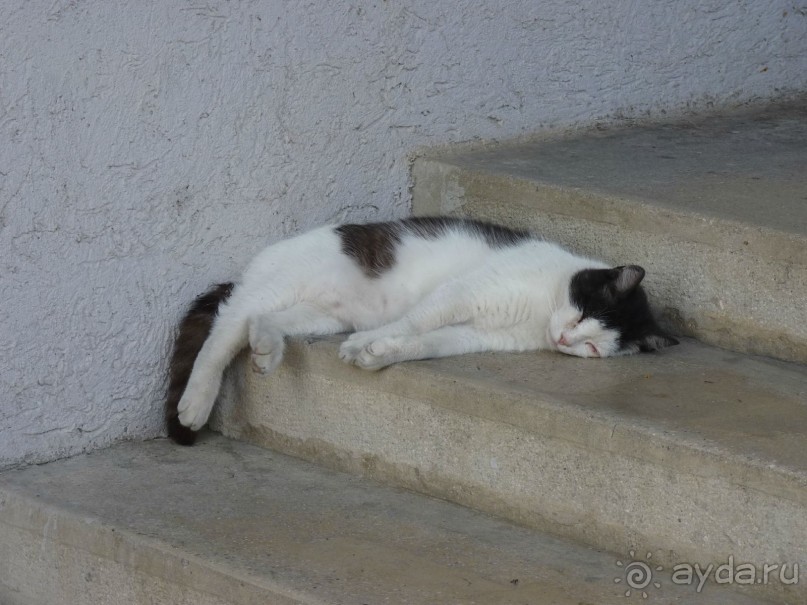 Еще одно путешествие........ Часть 7