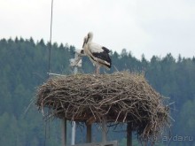 Еще одно путешествие........ Часть 7