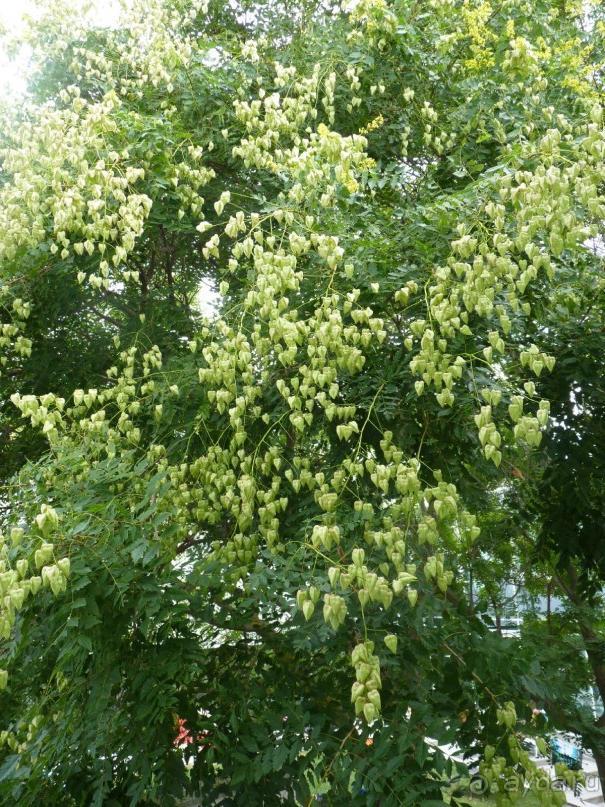 Еще одно путешествие........ Часть 7