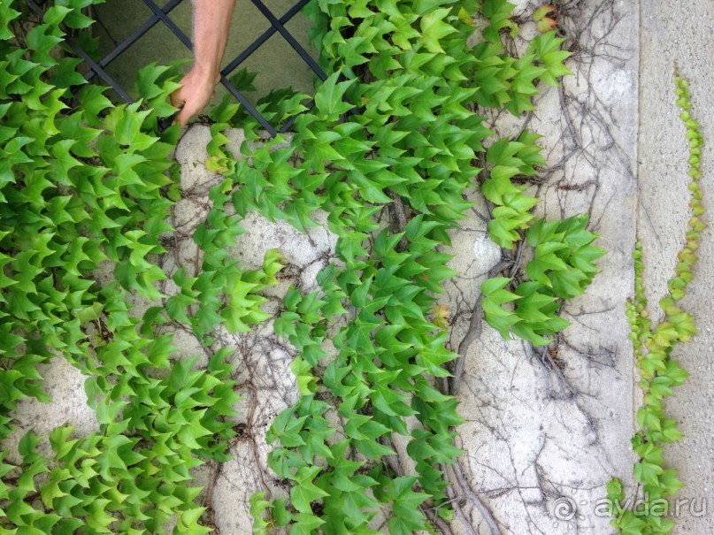 Еще одно путешествие........ Часть 7