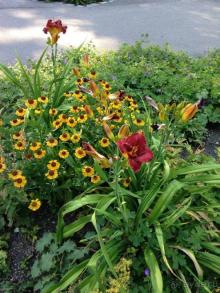 Еще одно путешествие........ Часть 7