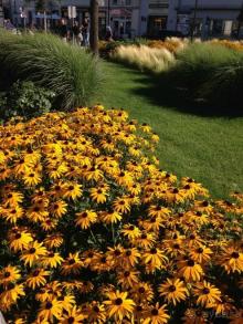 Еще одно путешествие........ Часть 7