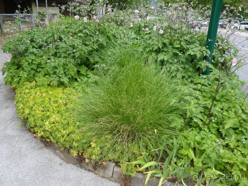 Еще одно путешествие........ Часть 7