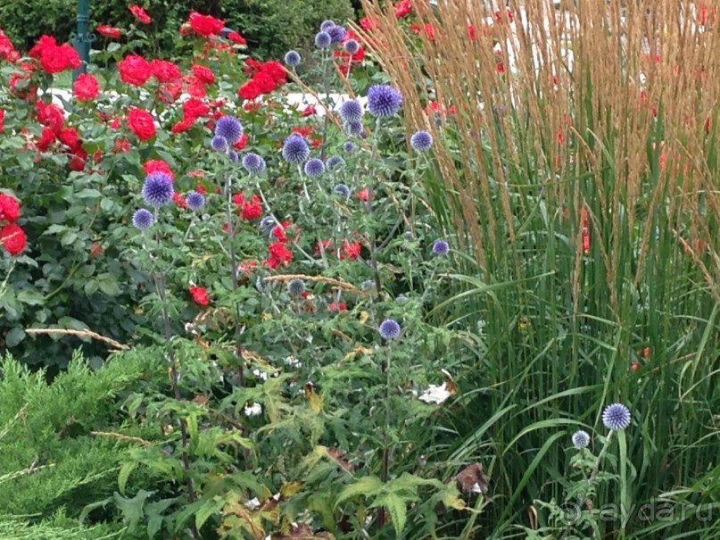 Еще одно путешествие........ Часть 7