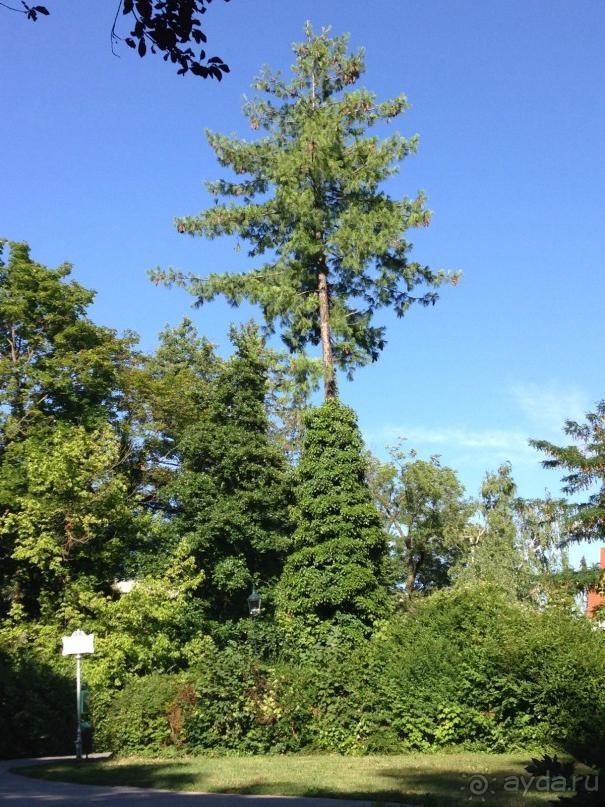 Еще одно путешествие........ Часть 7