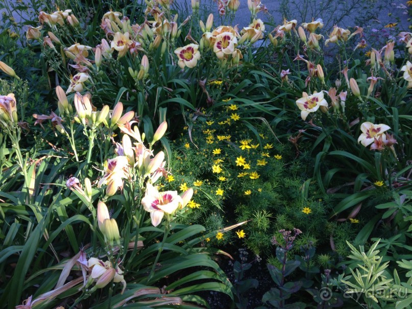 Еще одно путешествие........ Часть 7