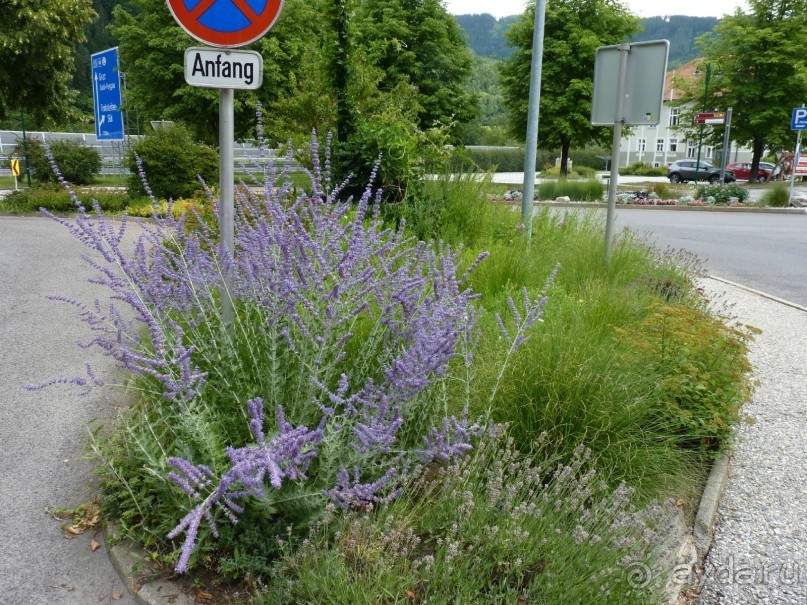 Еще одно путешествие........ Часть 7