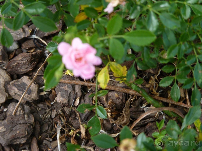 Еще одно путешествие........ Часть 7