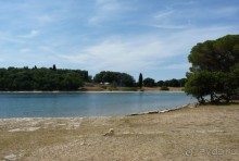 Бриуны! А что это за штучка....