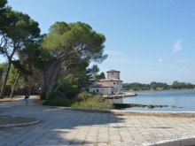 Бриуны! А что это за штучка....