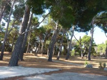 Бриуны! А что это за штучка....