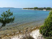 Бриуны! А что это за штучка....