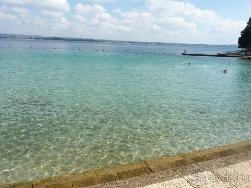 Альбом отзыва "Бриуны! А что это за штучка...."