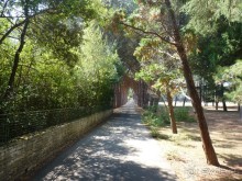 Бриуны! А что это за штучка....