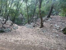 Бриуны! А что это за штучка....