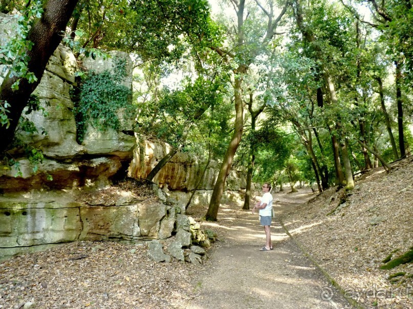 Бриуны! А что это за штучка....