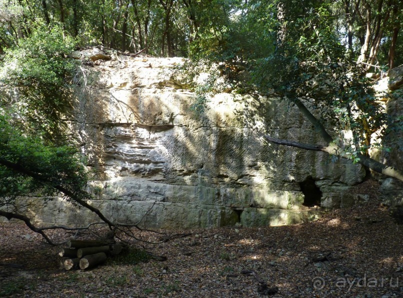 Бриуны! А что это за штучка....