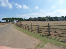 Бриуны! А что это за штучка....