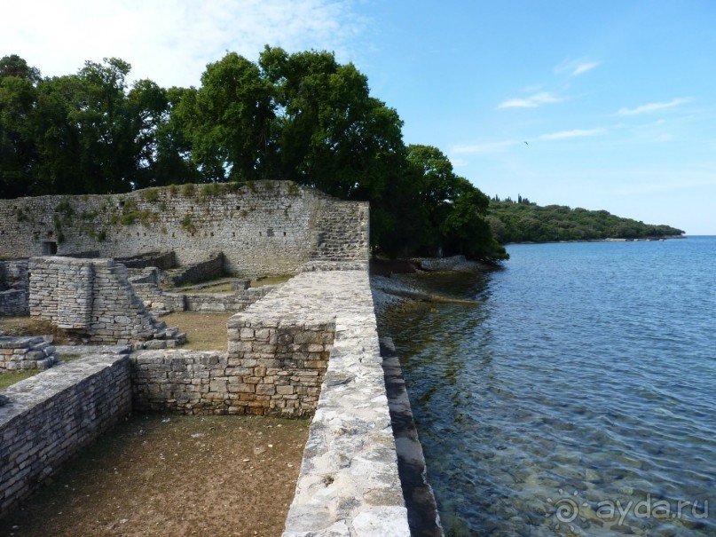 Бриуны! А что это за штучка....