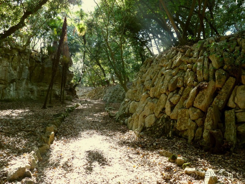 Бриуны! А что это за штучка....