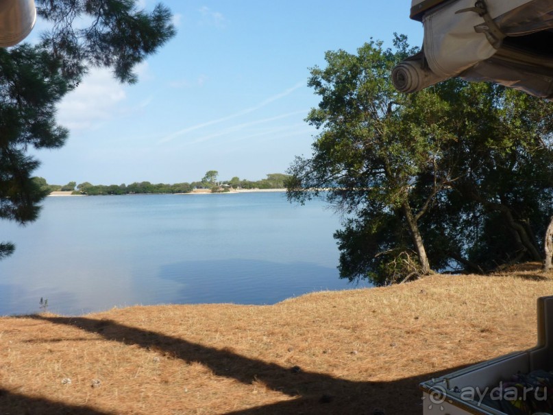 Бриуны! А что это за штучка....