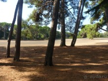 Бриуны! А что это за штучка....