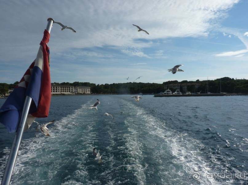 Бриуны! А что это за штучка....