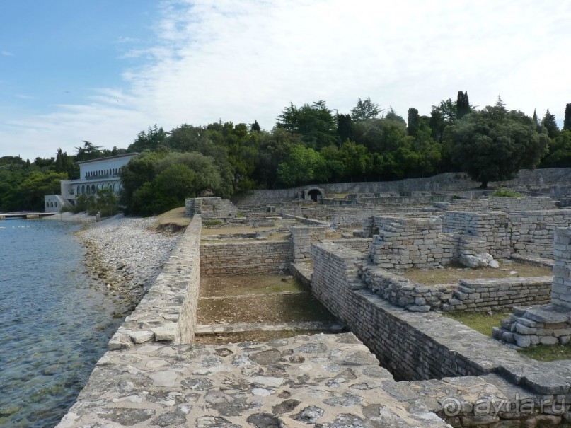 Бриуны! А что это за штучка....