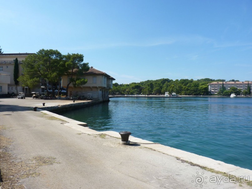 Бриуны! А что это за штучка....