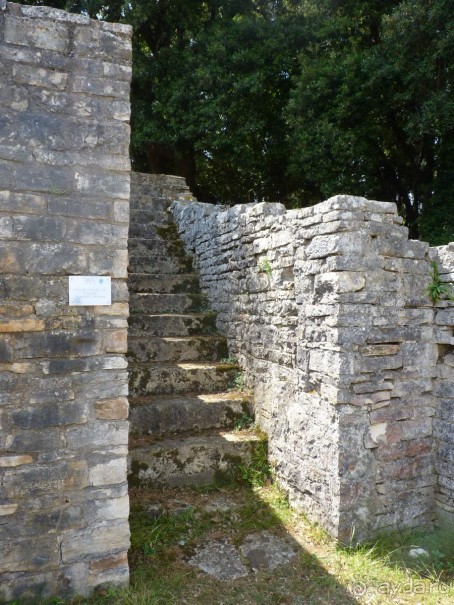 Бриуны! А что это за штучка....