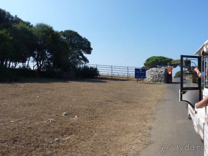 Бриуны! А что это за штучка....