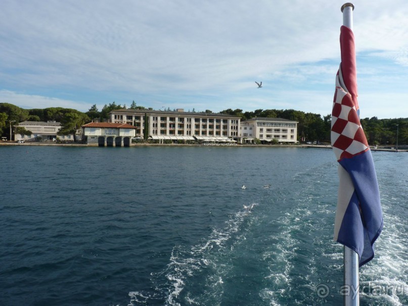 Бриуны! А что это за штучка....