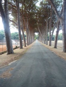 Бриуны! А что это за штучка....