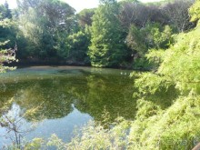 Бриуны! А что это за штучка....