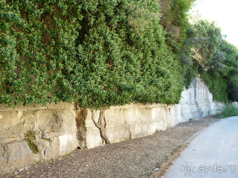 Бриуны! А что это за штучка....