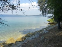 Бриуны! А что это за штучка....